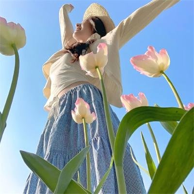 叶问外传：张天志粤语